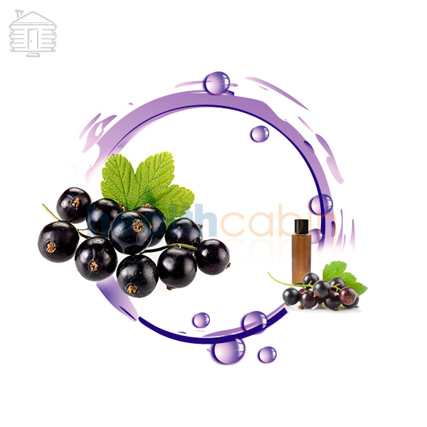 120ml HC Concentrated Blackcurrant Flavour for DIY E-liquid