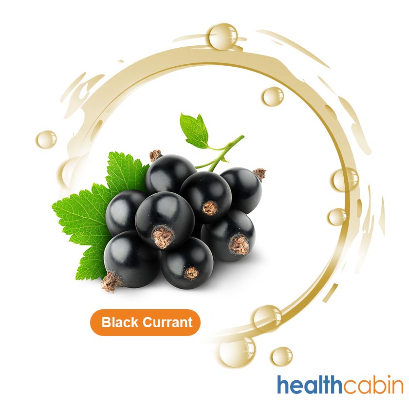 120ml HC Concentrated Blackcurrant 1001 Flavour for DIY E-liquid