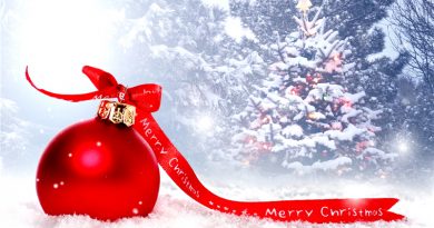 Christmas Deals 2018 at HealthCabin xmas