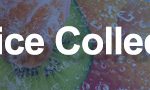 ejuice-sale-2020
