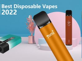 5 Best Disposable Vapes 2022-1212