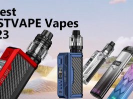 5 Best LOSTVAPE Vapes 2023