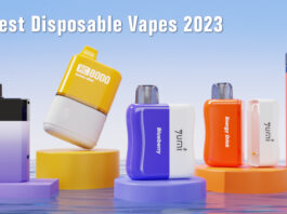 5 Best Disposable Vapes 2023-231220