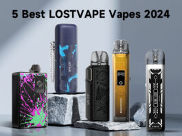 5 Best LOSTVAPE Vapes 2024