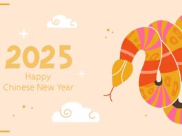 Spring Festival Holiday Notice 2025-1