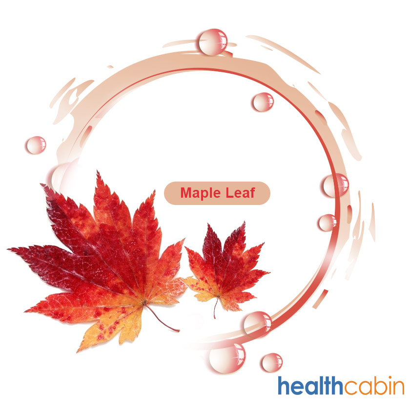 120ml HC Concentrated Maple Leaf Flavour for DIY E-liquid