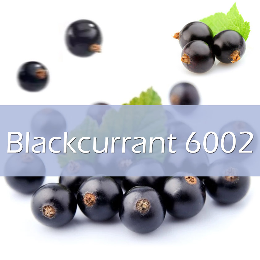 1L Vapelf Blackcurrant 6002 Concentrated Flavors