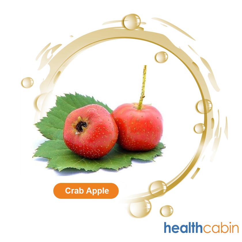 500ml HC Concentrated Crab Apple Flavour for DIY E-liquid