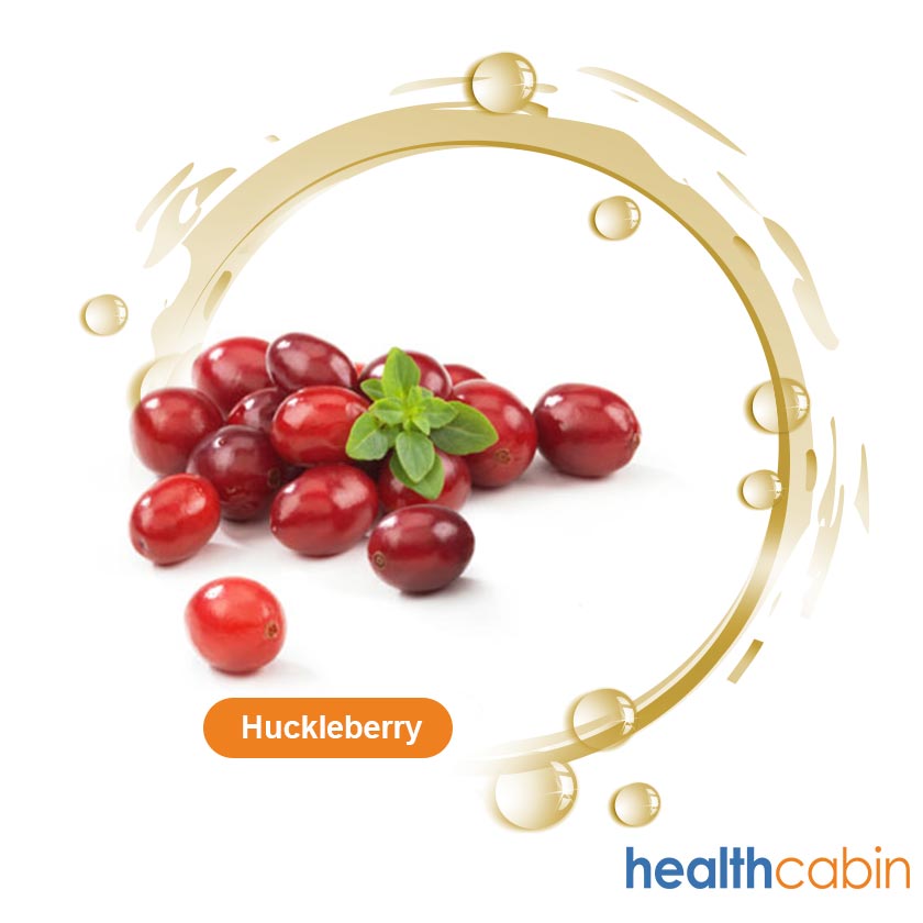 500ml HC Concentrated Huckleberry Flavour for DIY E-liquid