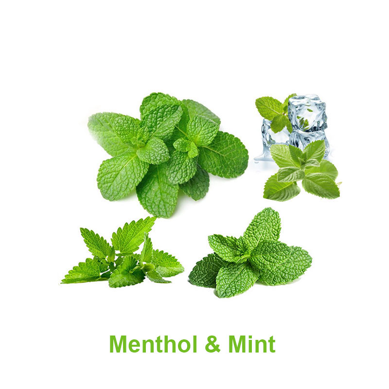 Magical Flavour Menthol & Mint Concentrated Flavors