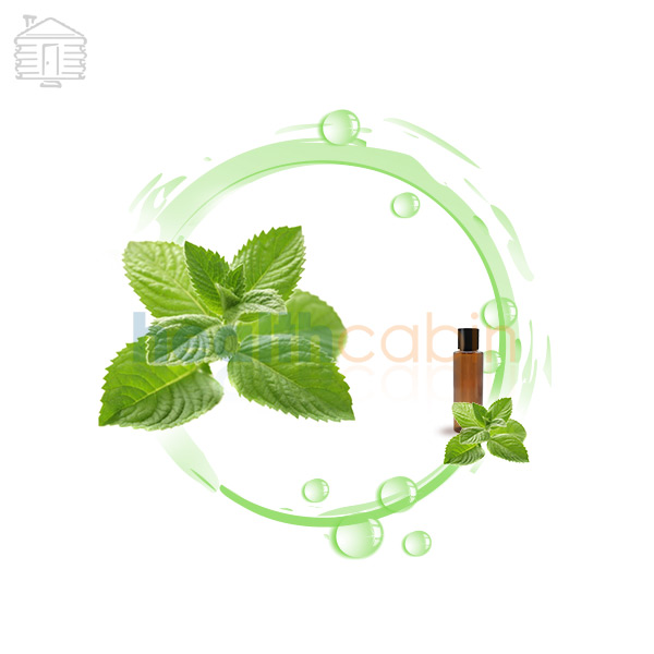 120ml HC Concentrated Menthol Flavour for DIY E-liquid