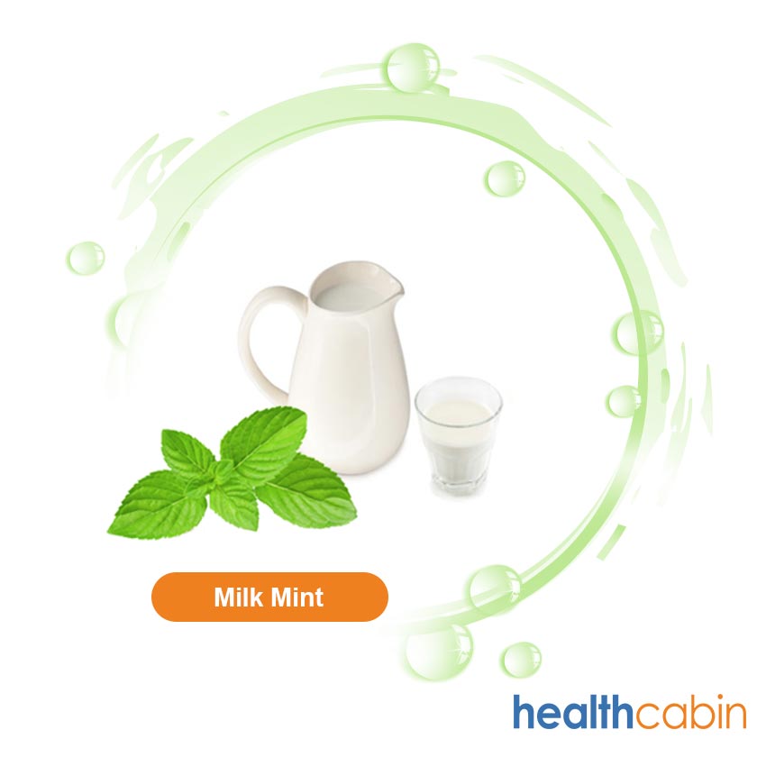 500ml HC Concentrated Milk Mint Flavour for DIY E-liquid
