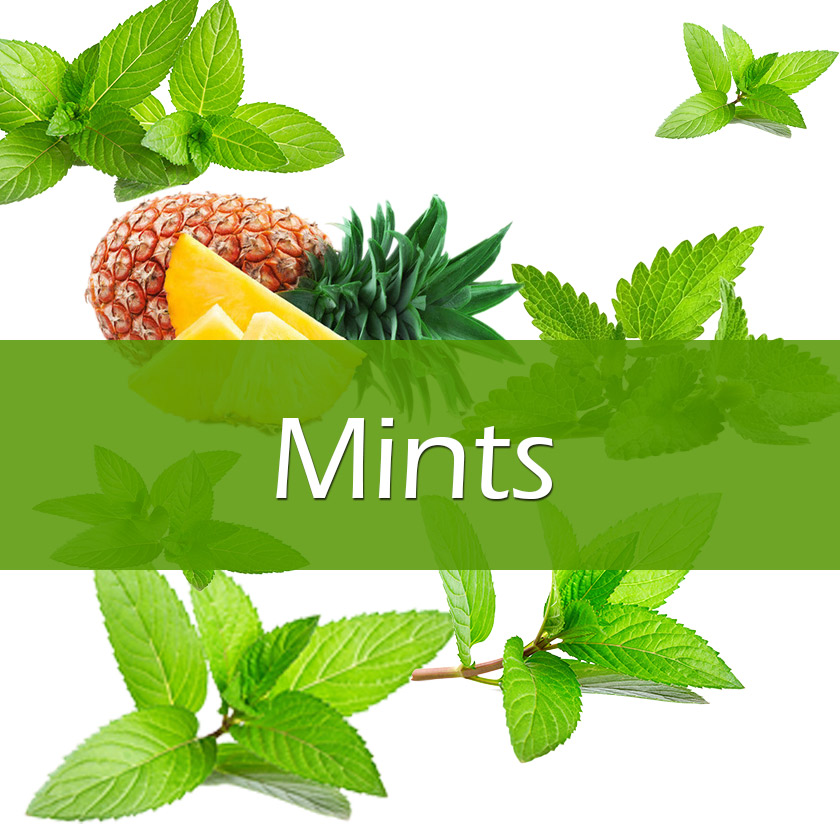 100ml Vapelf Mints Concentrated Flavors