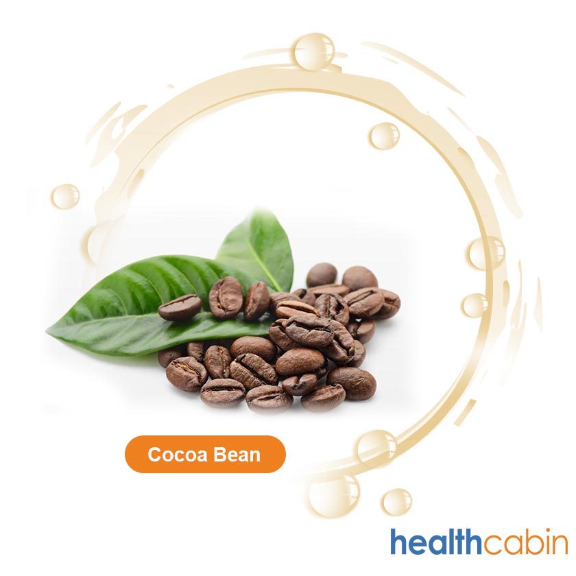 500ml HC Concentrated Cocoa Bean Flavour for DIY E-liquid