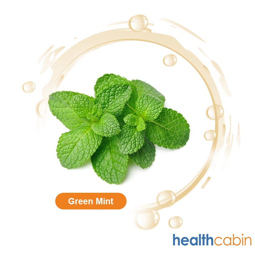 500ml HC Concentrated Double Mint/Green Mint Flavour for DIY E-liquid