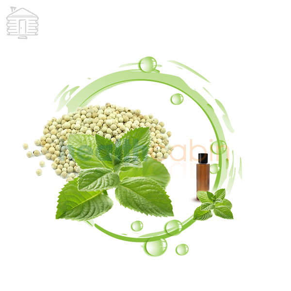 120ml HC Concentrated Pepper Mint Flavour for DIY E-liquid