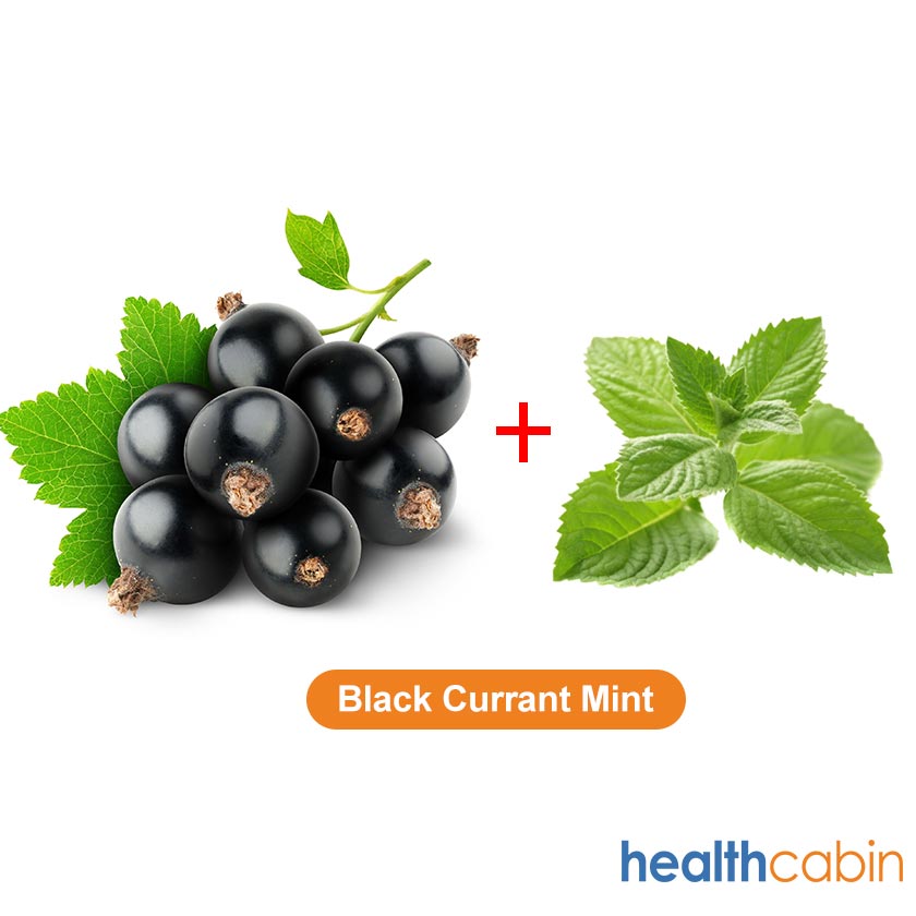 500ml HC E-Liquid Black Currant Mint 75PG/25VG (Flavoring Essence Doubled)