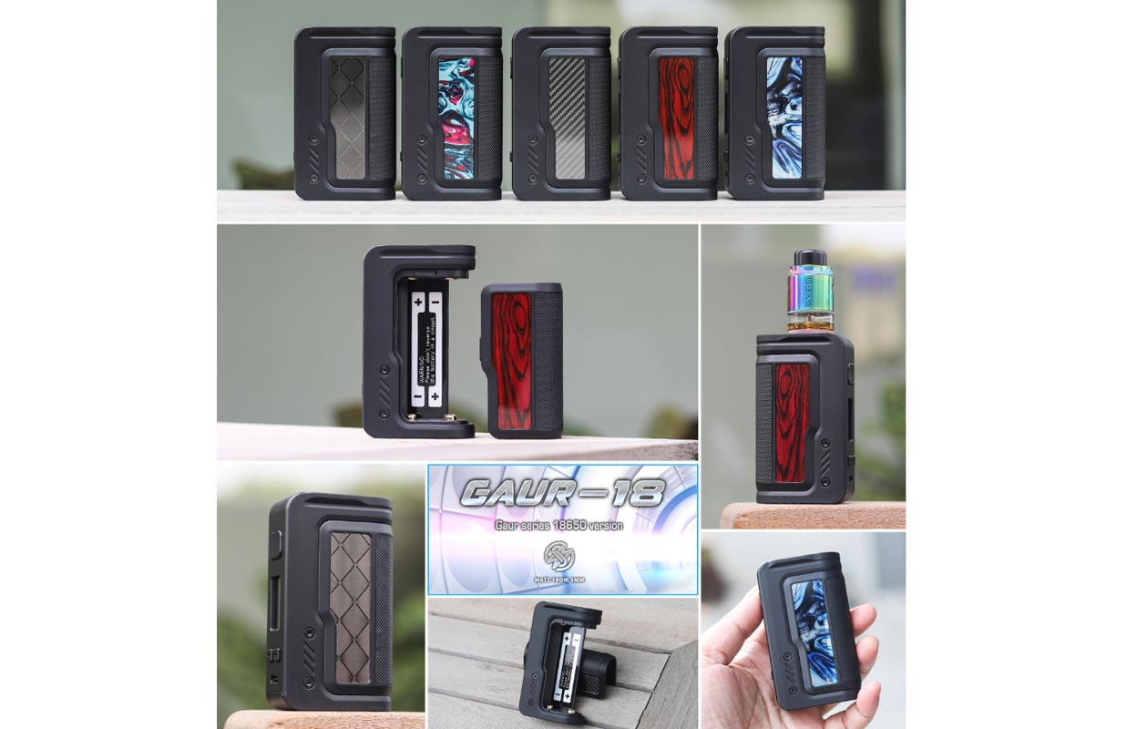 Vandy Vape Gaur-18 Mod